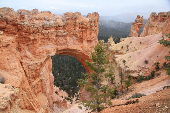 Bryce Canyon National Park