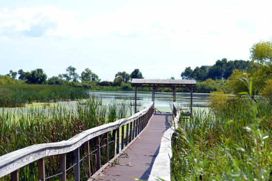 Horicon National Wildlife Refuge