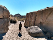 Joshua Tree National Park 