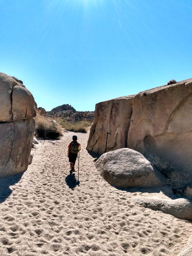 Joshua Tree National Park 
