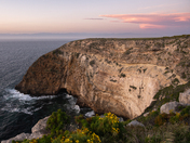 Channel Islands National Park