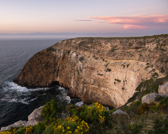 Channel Islands National Park