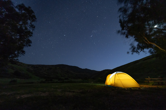 Channel Islands National Park
