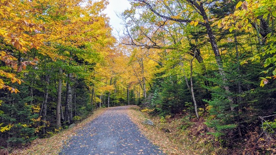 Acadia National park