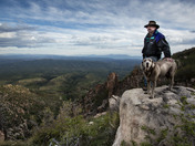 Coconino National Forest
