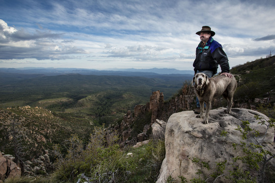 Coconino National Forest