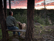 Coconino National Forest