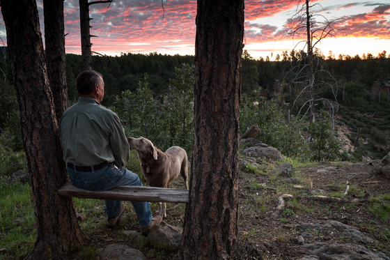 Coconino National Forest