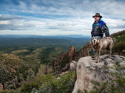 Coconino National Forest