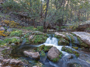 Tonto National Forest
