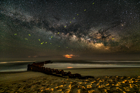 Cape Hatteras National Seashore