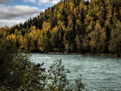 Chugach National Forest