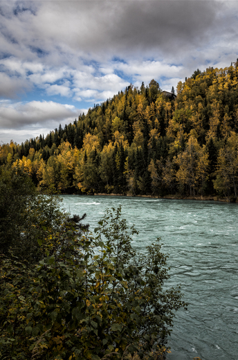 Chugach National Forest