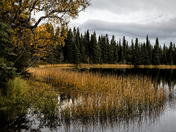 Chugach National Forest