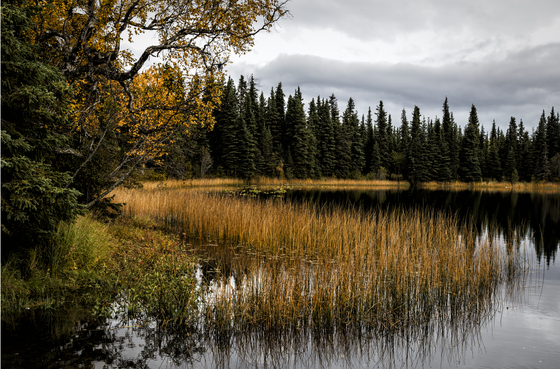 Chugach National Forest