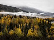 Chugach National Forest