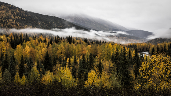 Chugach National Forest