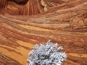 Vermillion Cliffs National Monument