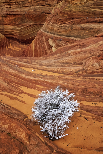 Vermillion Cliffs National Monument