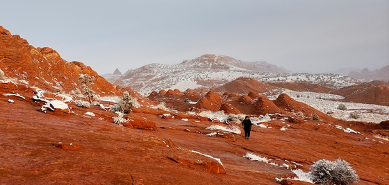 Vermillion Cliffs National Monument