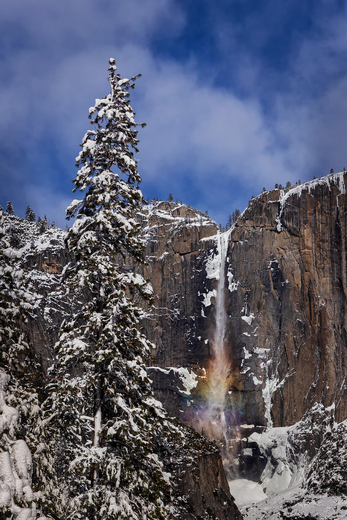 Yosemite National Park