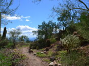 Saguaro National Park West