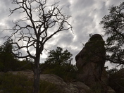 Chiricahua National Monument