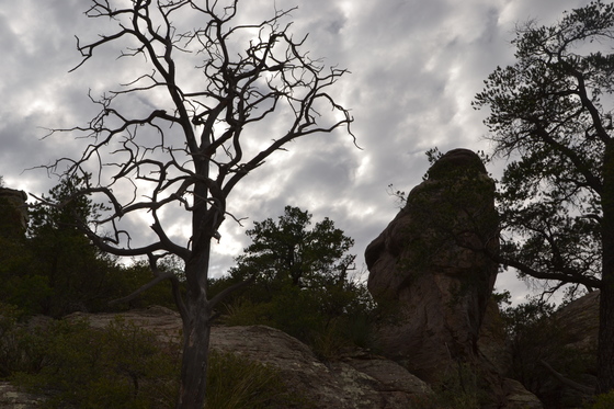 Chiricahua National Monument