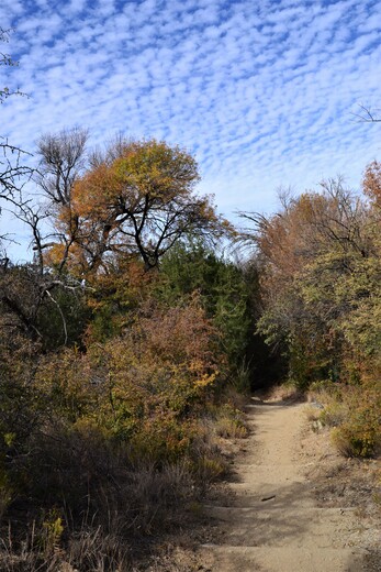 Fort Bowie National Historic Site