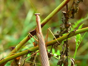 Posing For My Camera!!!