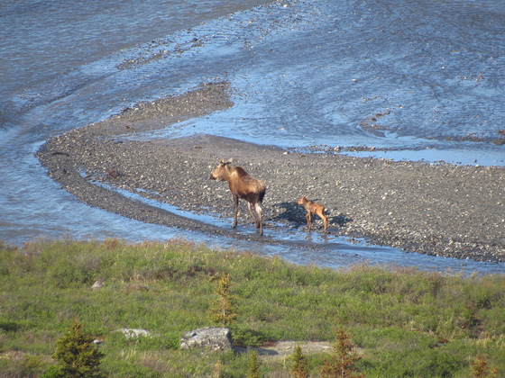 Denali National Park and Preserve, Alaska