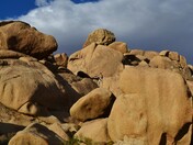 Joshua Tree National Park