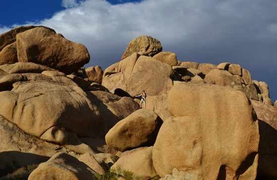 Joshua Tree National Park