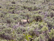 Grand Teton National Park