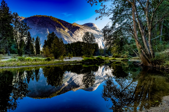 Yosemite National Park 