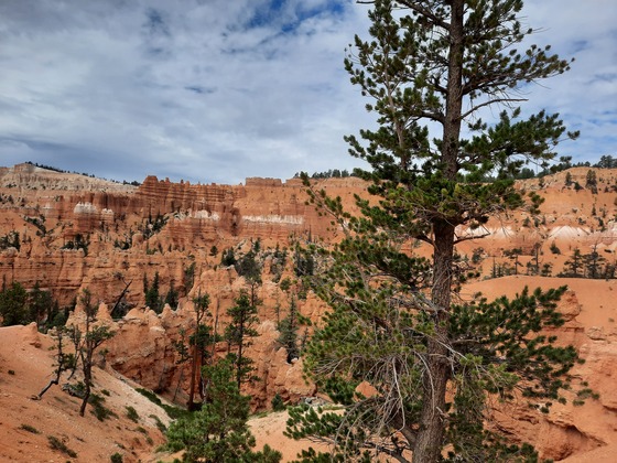 Bryce Canyon National Park 