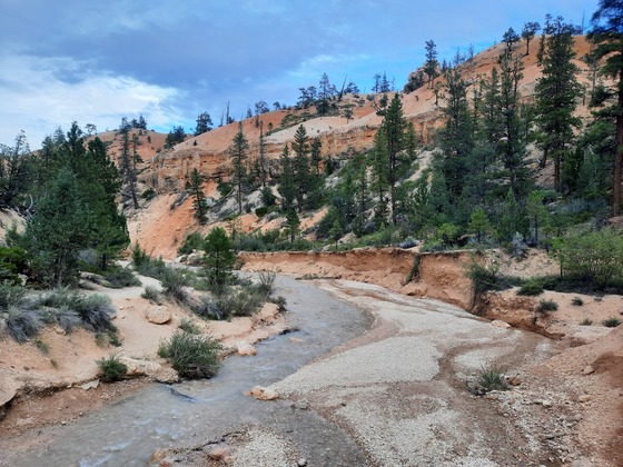 Mossy Cave-Bryce Canyon National Park