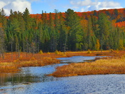 Magical and Colourful