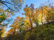 Frasier Hill in Autumn 