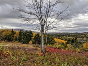 Acadia National Park