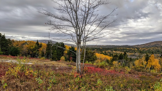 Acadia National Park