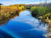 Fall Marsh Hike