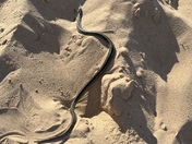 Sleeping Bear Dunes