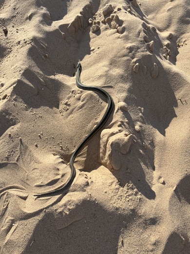 Sleeping Bear Dunes