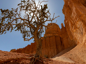 Bryce Canyon National Park
