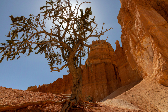 Bryce Canyon National Park