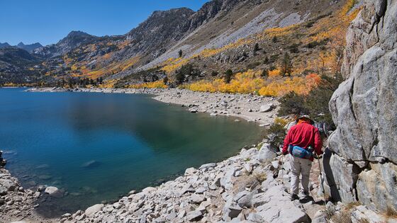 Inyo National Forest