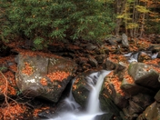 Great Smoky Mountains National Park