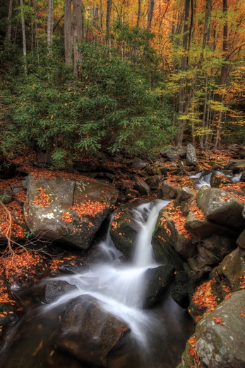 Great Smoky Mountains National Park