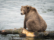 Katmai National Park & Preserve